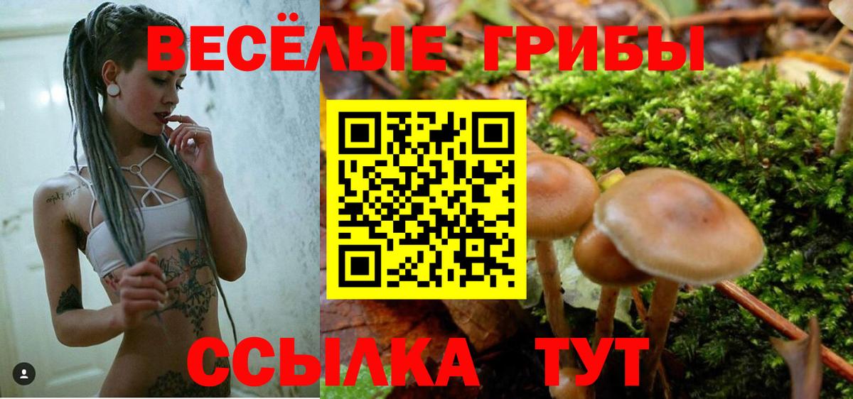 Алапаевск  Псилоцибиновые грибы Cubensis  Вход с VPN 