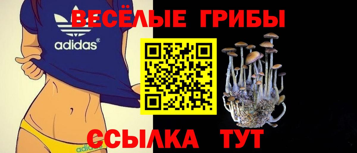 Псилоцибиновые грибы мухоморы Алапаевск